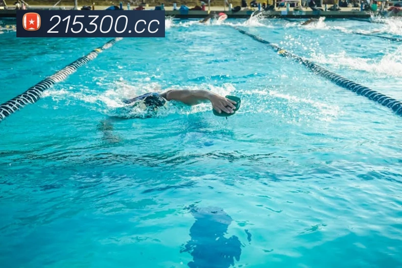 App界面